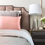 Brand New Royal Comfort Mulberry Silk Pillow Case Twin Pack - Blush